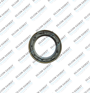 EUROCARGO IV (2013/05) 4Cyl. Oıl Seal Gasket
