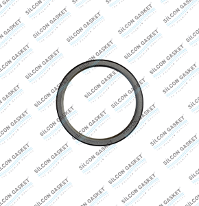 D16A470 16,1 Oıl Seal Gasket