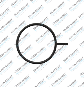 GRS 875 TRUCK SERIE P (2016)	Intake Manıfold Gasket