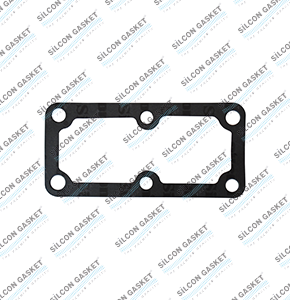 DS11-12, DTC11 3-4 Series D11-DN-DS Gasket