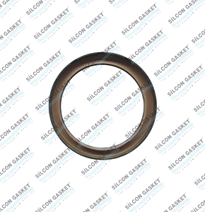 1.6 Ltr. HDI Mot. 9HT (DV6BTED4) Oıl Seal Gasket