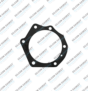 MF 399 Mot. 1006.6C  6 Cyl. 100 Ø  Diesel Eccentrıc Gasket