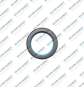 F1CE3481M  DUCATO JTD 2998 cc 4Cyl. Oıl Seal Gasket